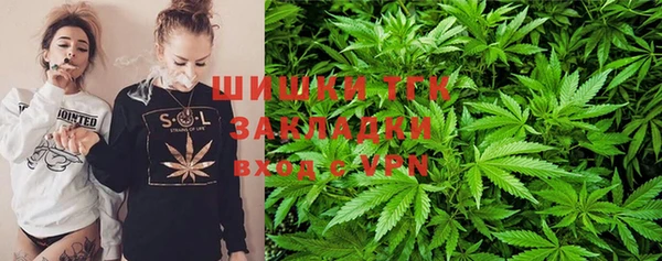 ГАЛЛЮЦИНОГЕННЫЕ ГРИБЫ Кукмор