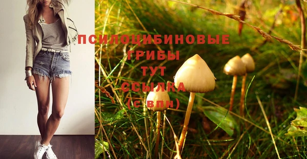 крисы Снежногорск