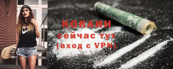 ГАЛЛЮЦИНОГЕННЫЕ ГРИБЫ Кукмор