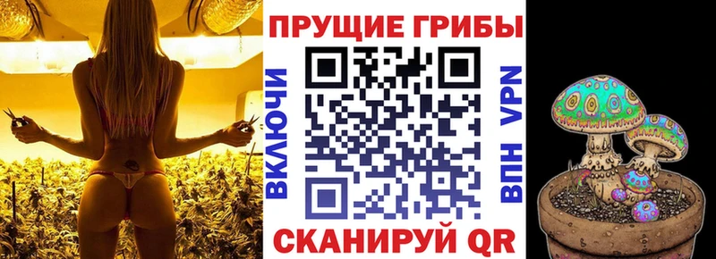 Псилоцибиновые грибы GOLDEN TEACHER Кудымкар